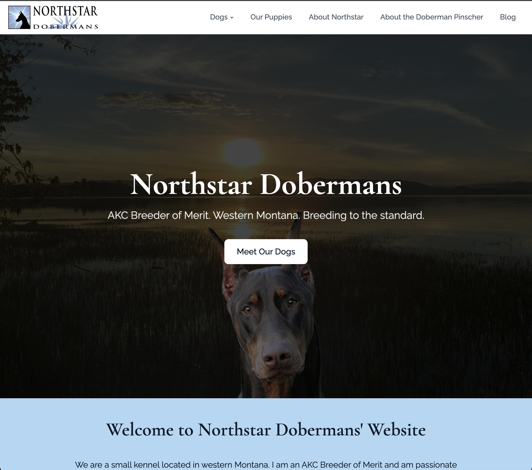 Northstar Dobermans home page, built on Breed Ledger