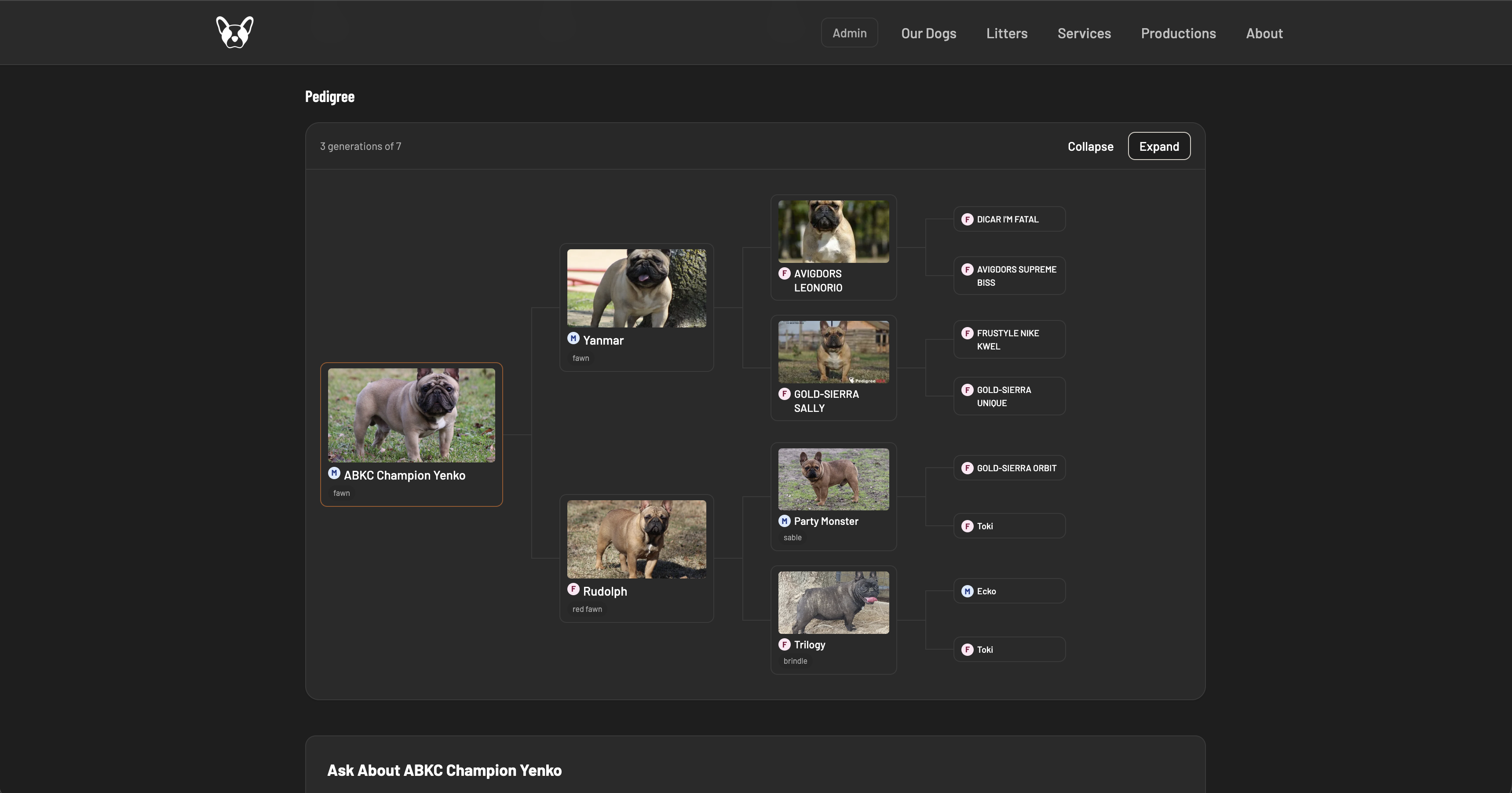 A Texas Top Notch Frenchies dog profile with an interactive pedigree on Breed Ledger