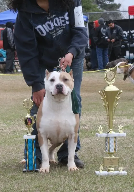 Dusty holding a trophy after a win in the show ring