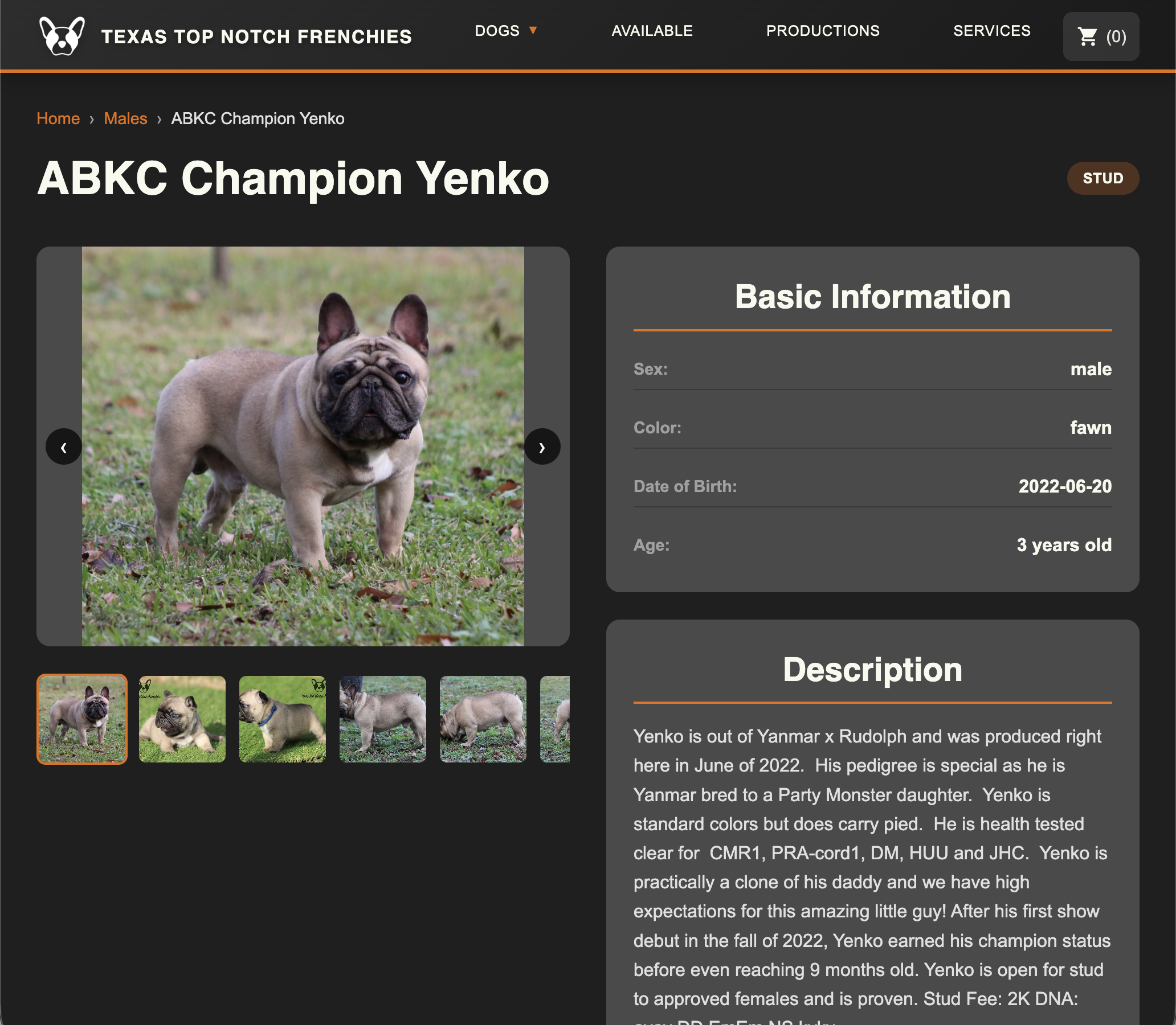 How to Build a Dog Breeder Website That Actually Sells Puppies