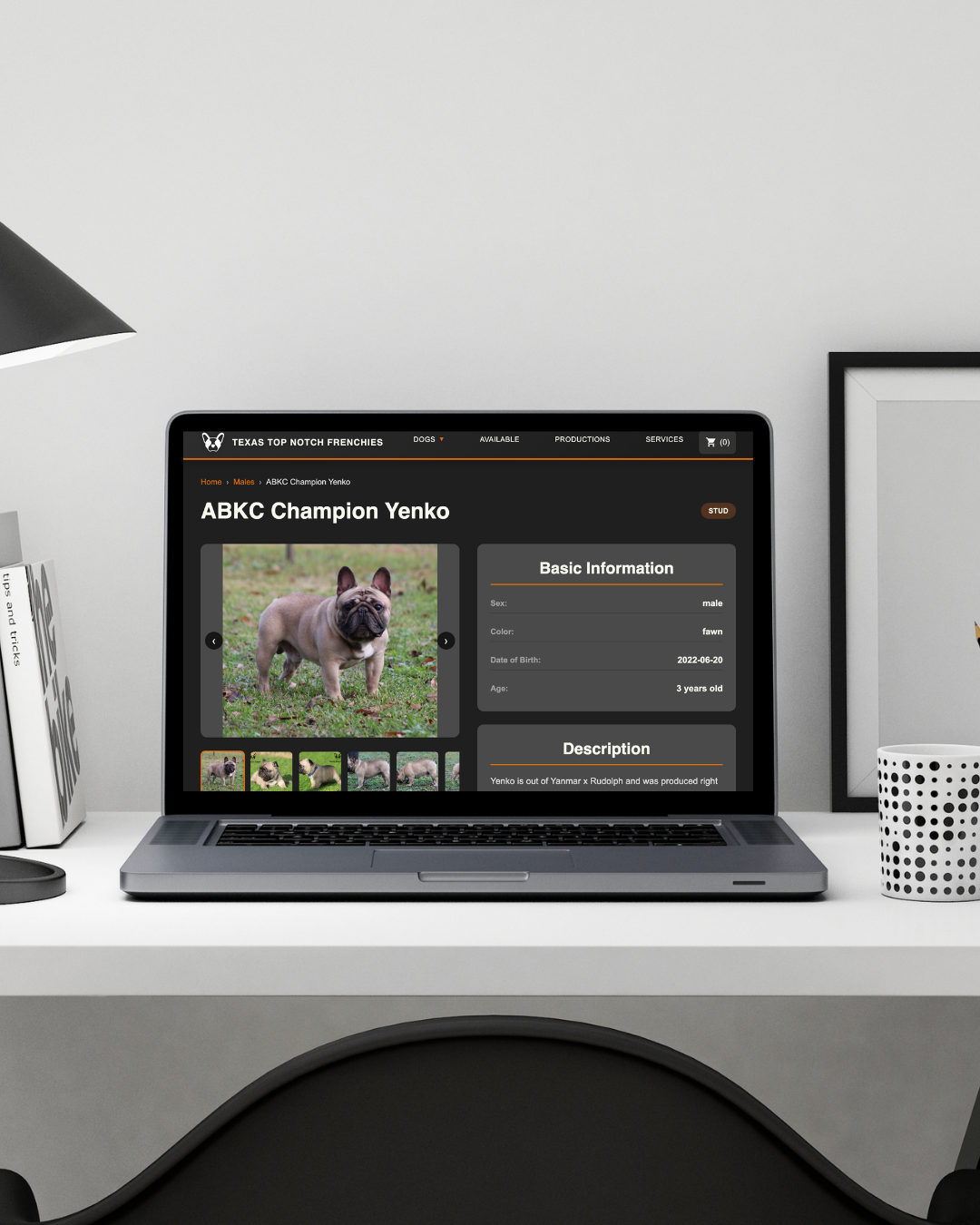 How Much Does a Dog Breeder Website Cost in 2026? The Complete Breakdown